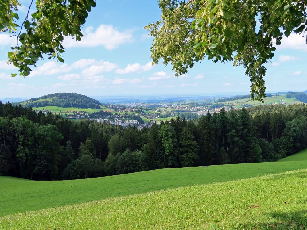 Blick Richtung Herisau und Bodensee