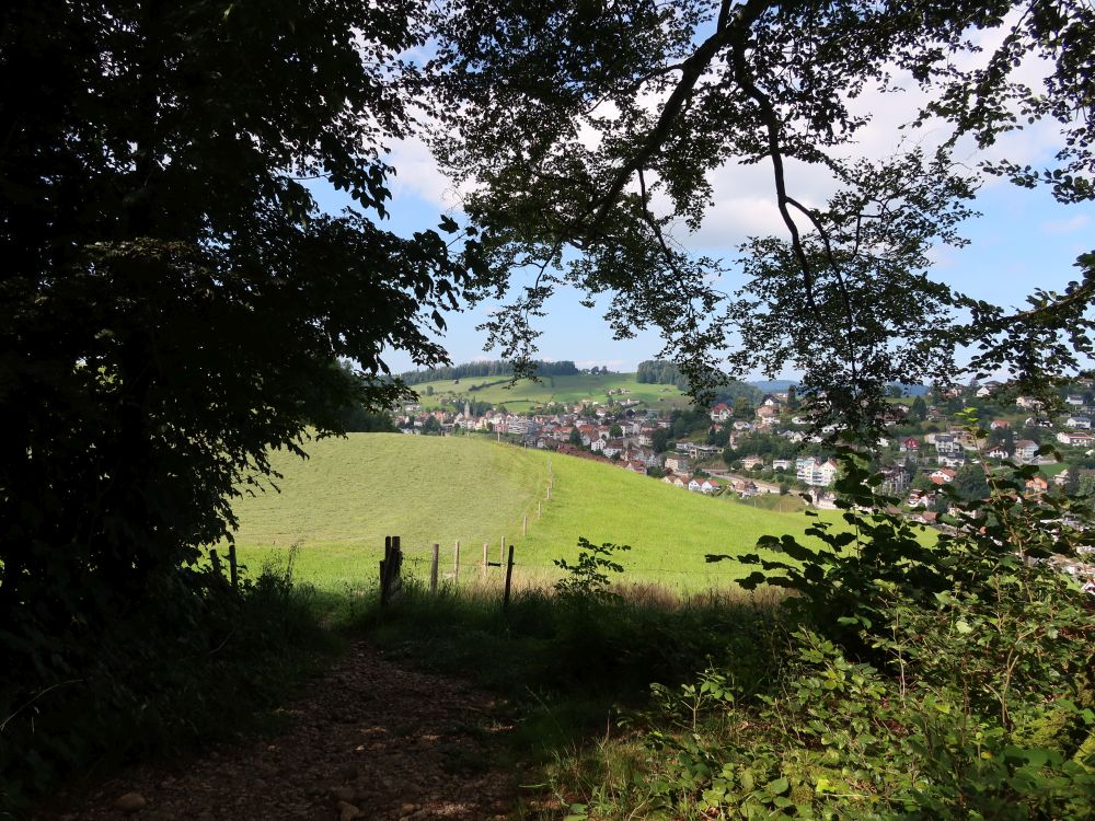 Blick Richtung Herisau