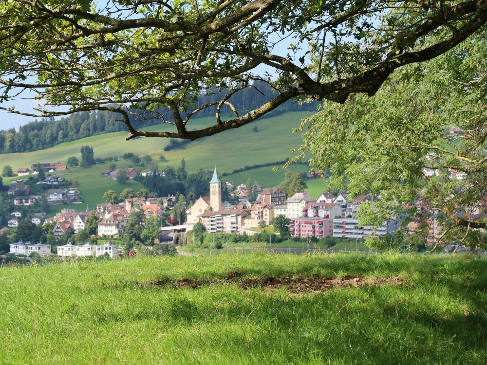 Kirche von Herisau