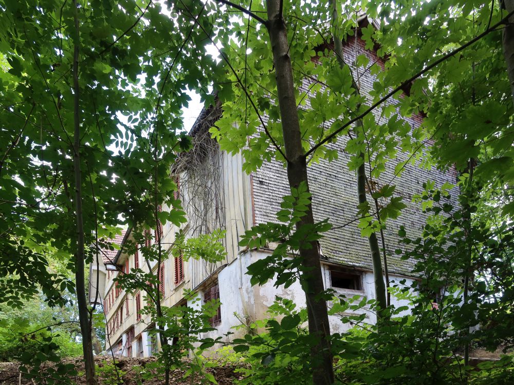 altes Haus an der Büelhalde