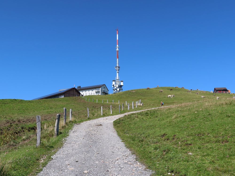 Rest. Rigi Kulm und Sendeturm