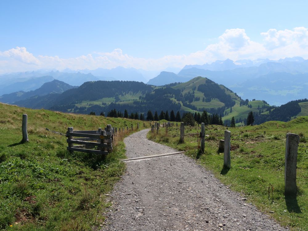 Rigi Hochflue, Rigi Scheidegg und Dossen