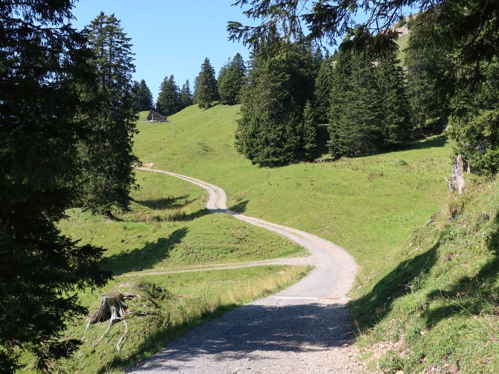 Bergweg und Grillhütte