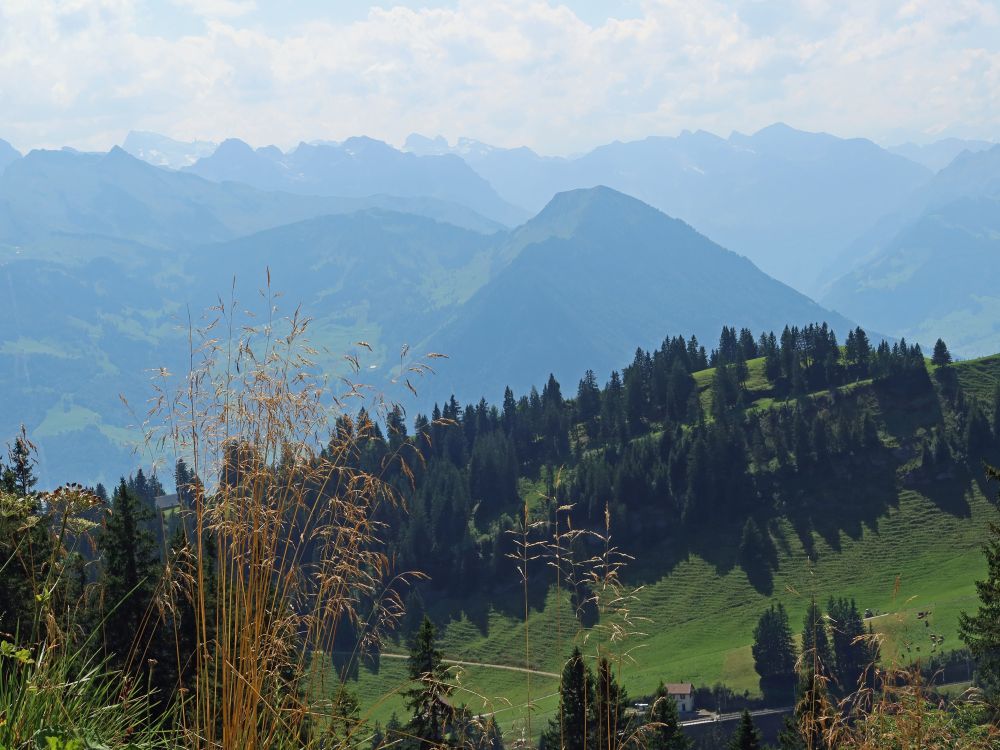 Blick Richtung Buochserhorn