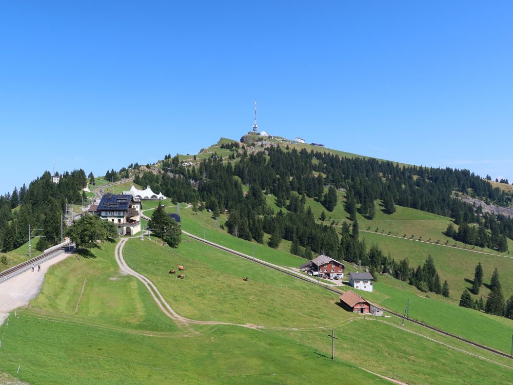 Blick Richtung Rigi Kulm