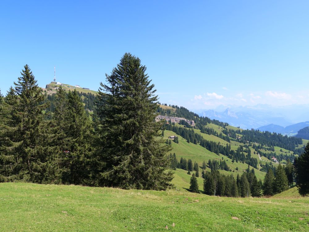 Rigi Kulm über den Baumspitzen