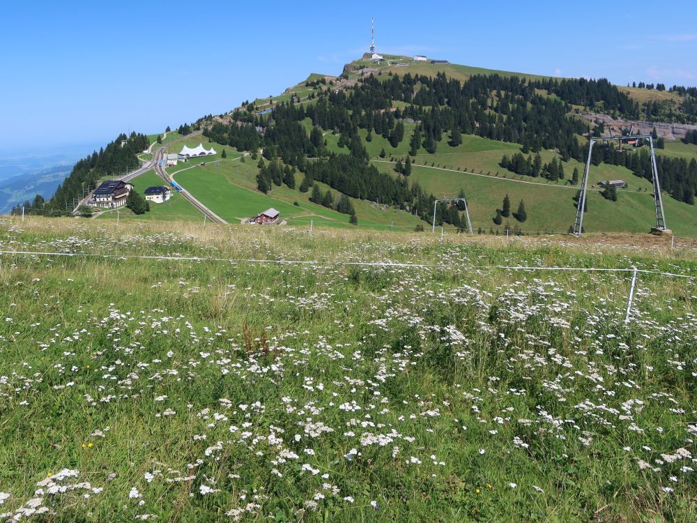 Blick Richtung Rigi Kulm