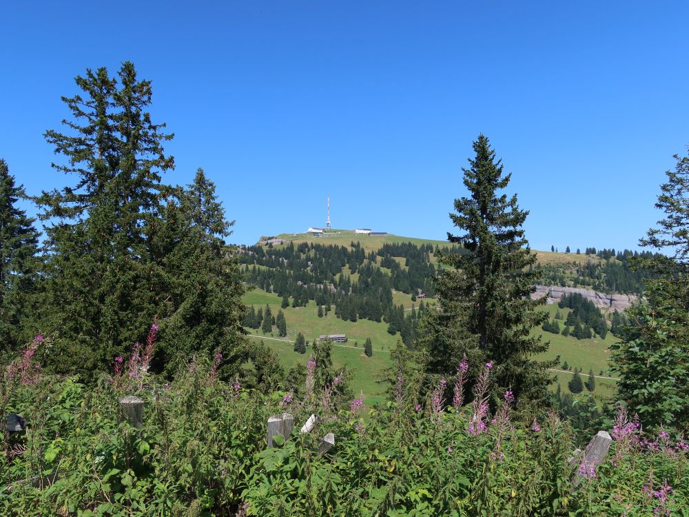 Blick Richtung Rigi Kulm