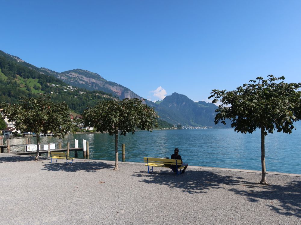 Sitzbank am Ufer mit Dossen und Vitznauerstock