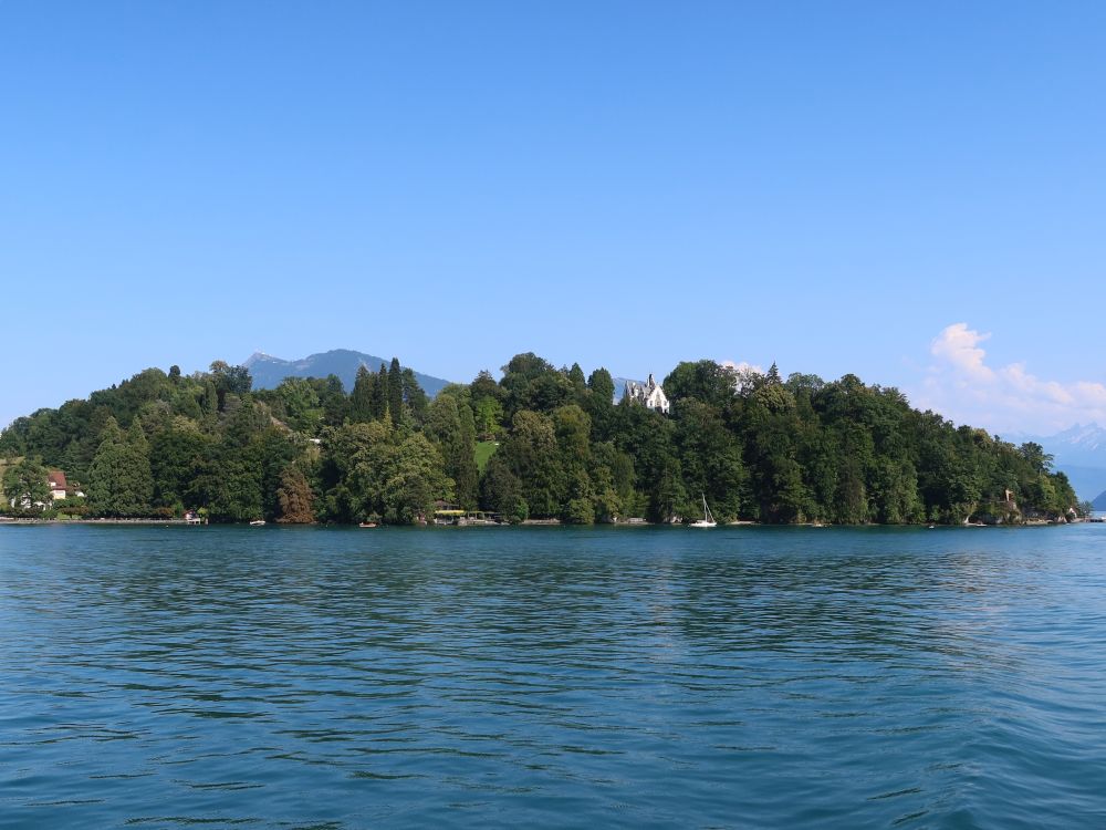 Rigi Kulm überm Meggenhorn