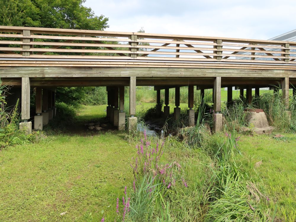 Brücke Lerchenfeldstrasse