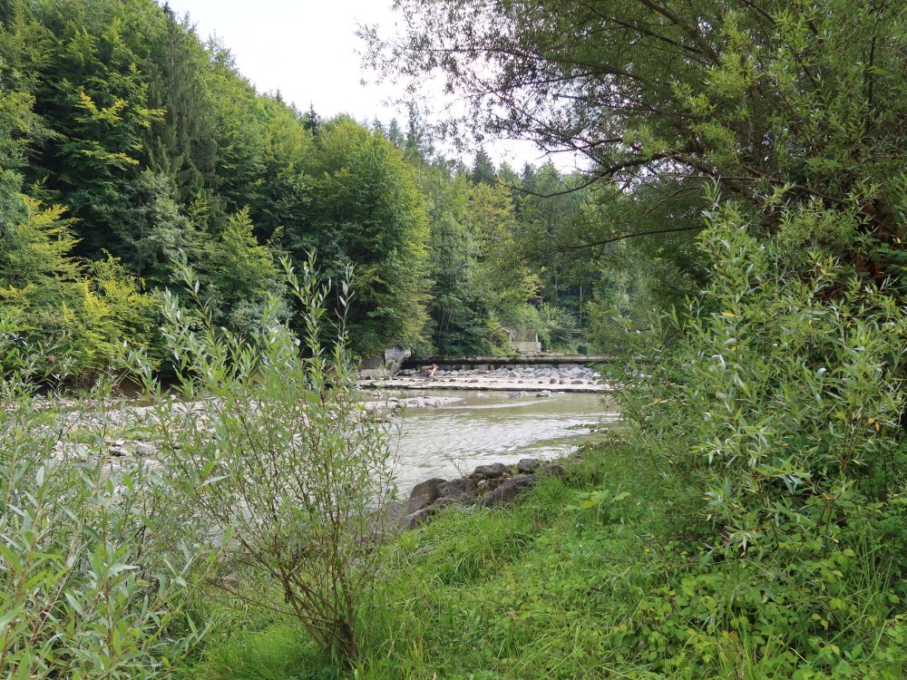 Stauwehr am Wasserkraftwerk Burentobel