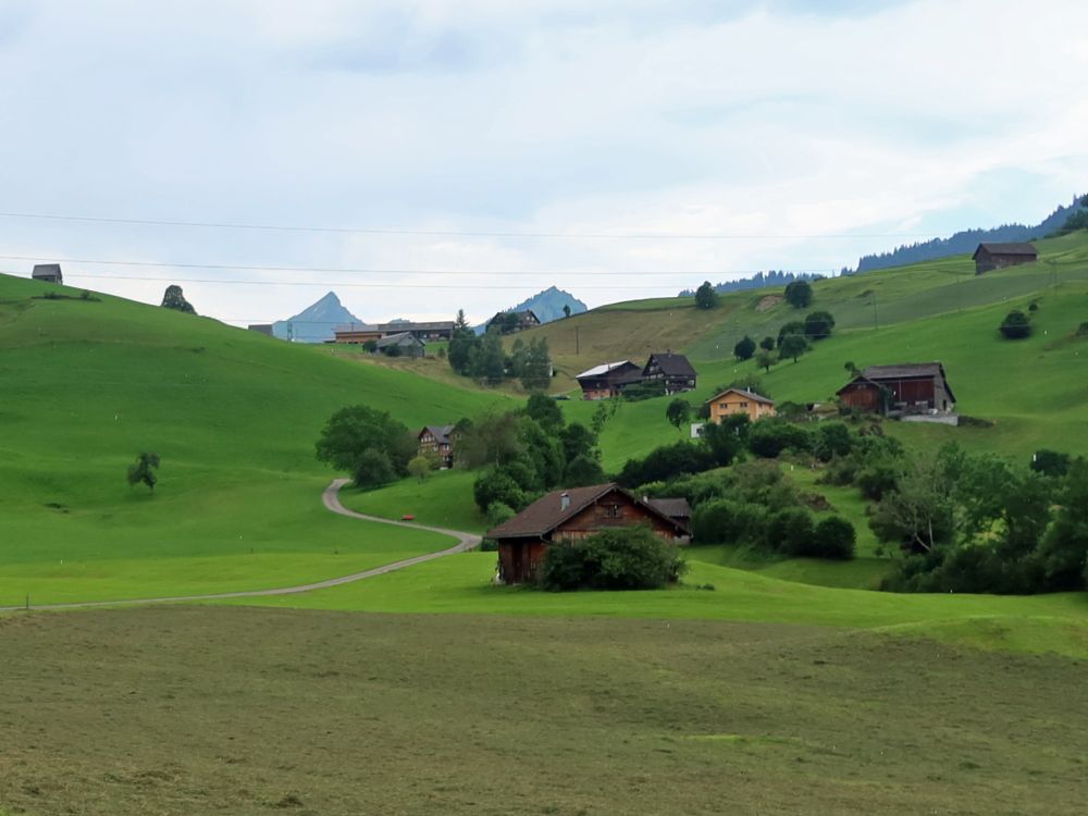 Speer und Speermürli am Horizont