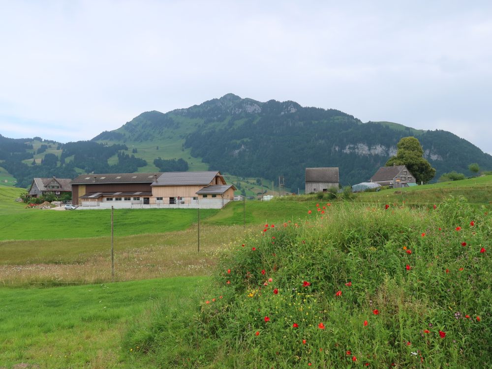 Neuenalpspitz über Stigen