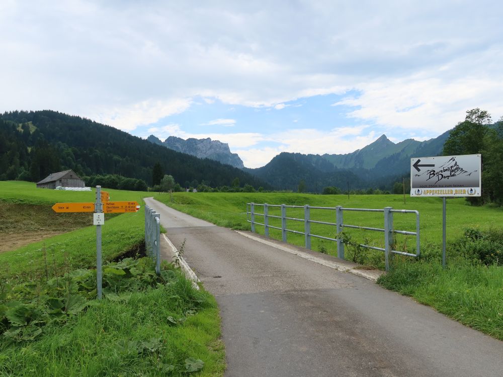 Brücke bei Au mit Mattstock und Speer