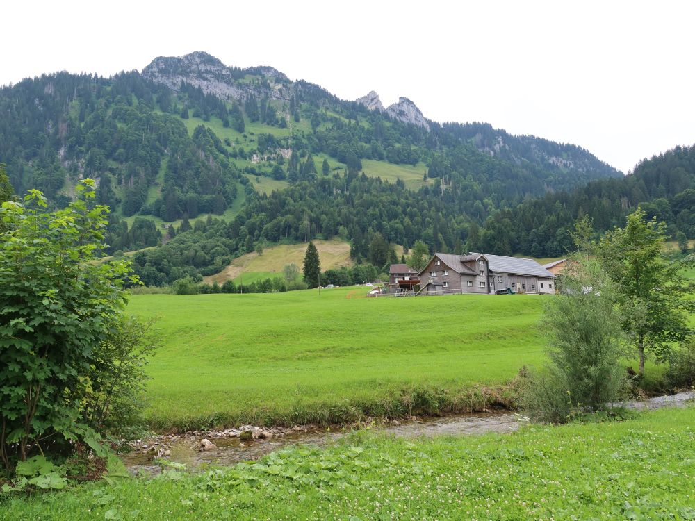 Bauernhof bei Dergeten und Goggeien