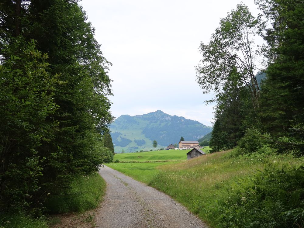 Blick Richtung Neuenalpspitz