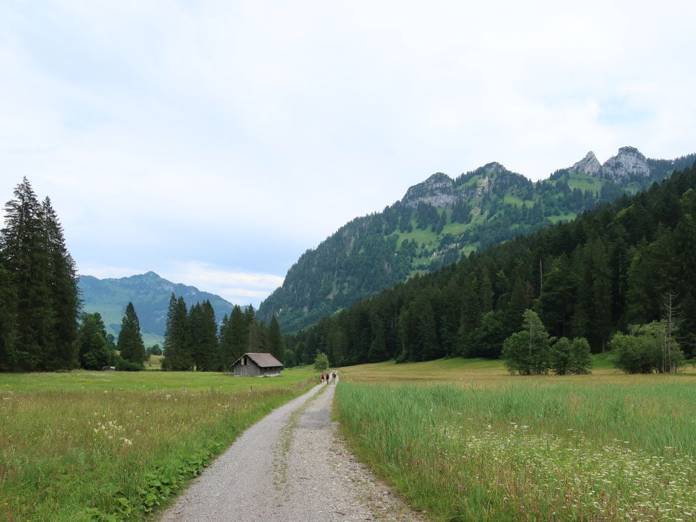 Neuenalpspitz, Goggeien und Schär