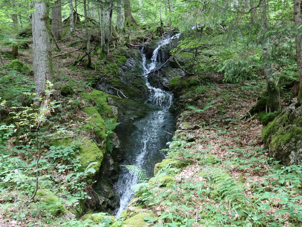 Wasserfall