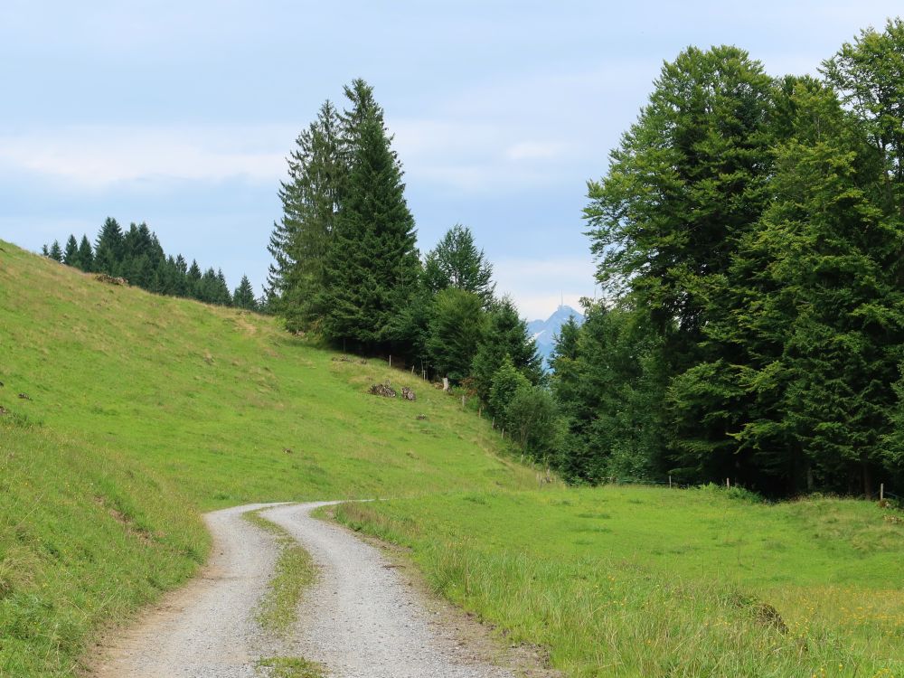 Boltenstein-Perfiren und Säntisspitze