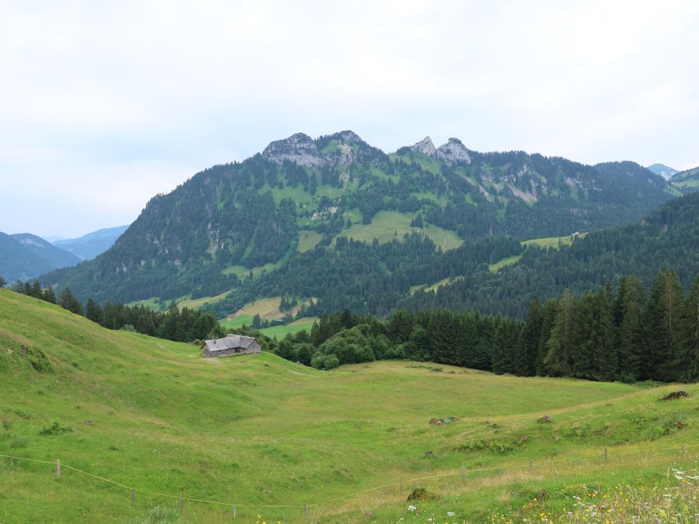 Goggeien und Schär