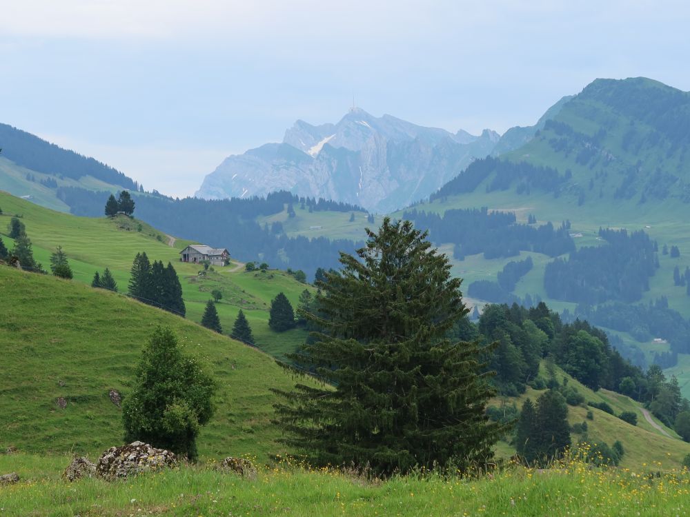 Säntis  und Alpspitz