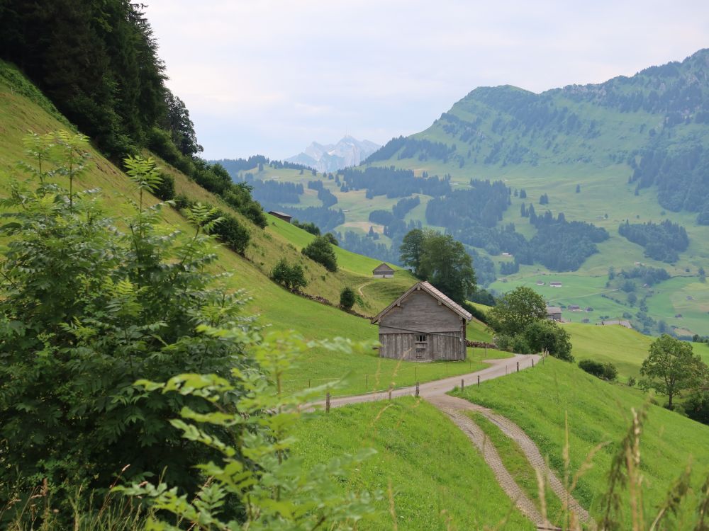 Scheune mit Säntis und Alpspitz