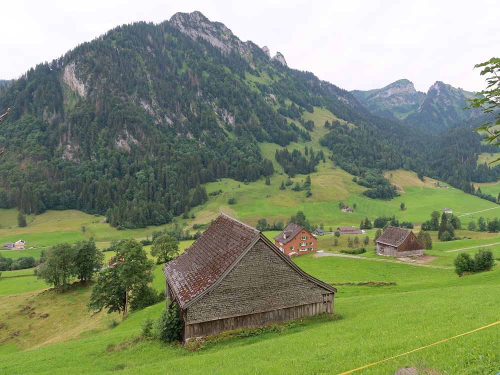 Goggeien, Gulmsn und Stogg