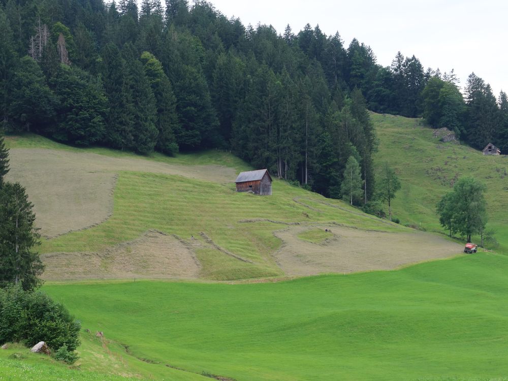 Heuernte am steilen Hang