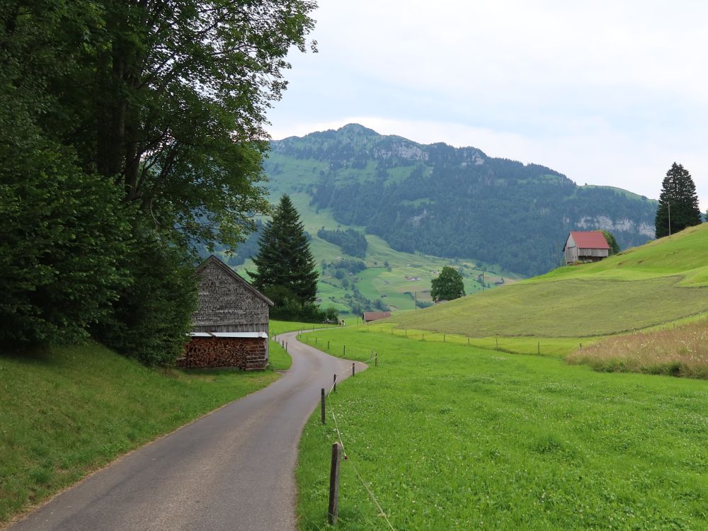 Neuenalpspitz