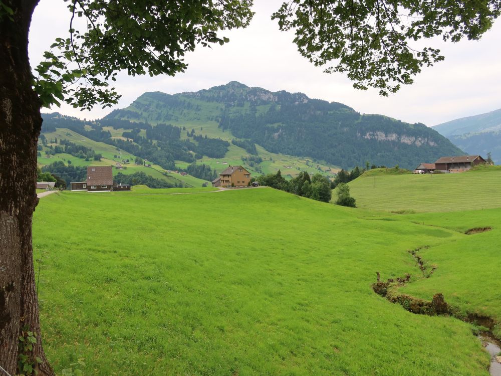 Alpspitz und Neuenalpspitz