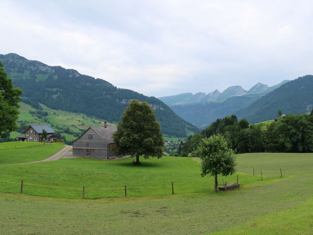 Neuenalpspitz und Churfirsten