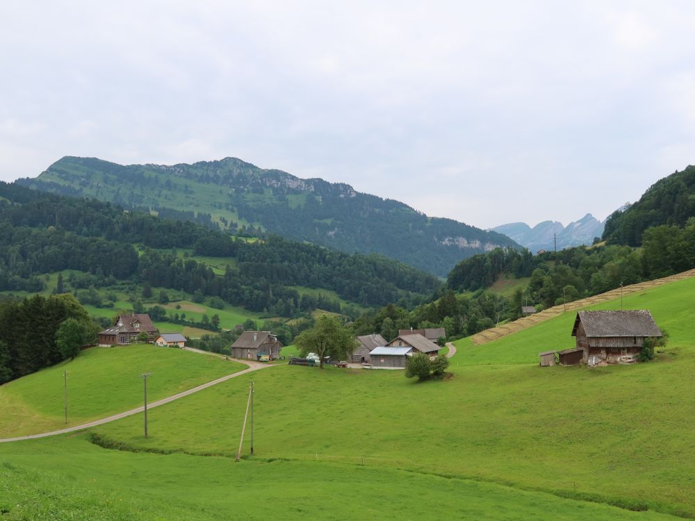 Neuenalpspitz über Heidelbühl