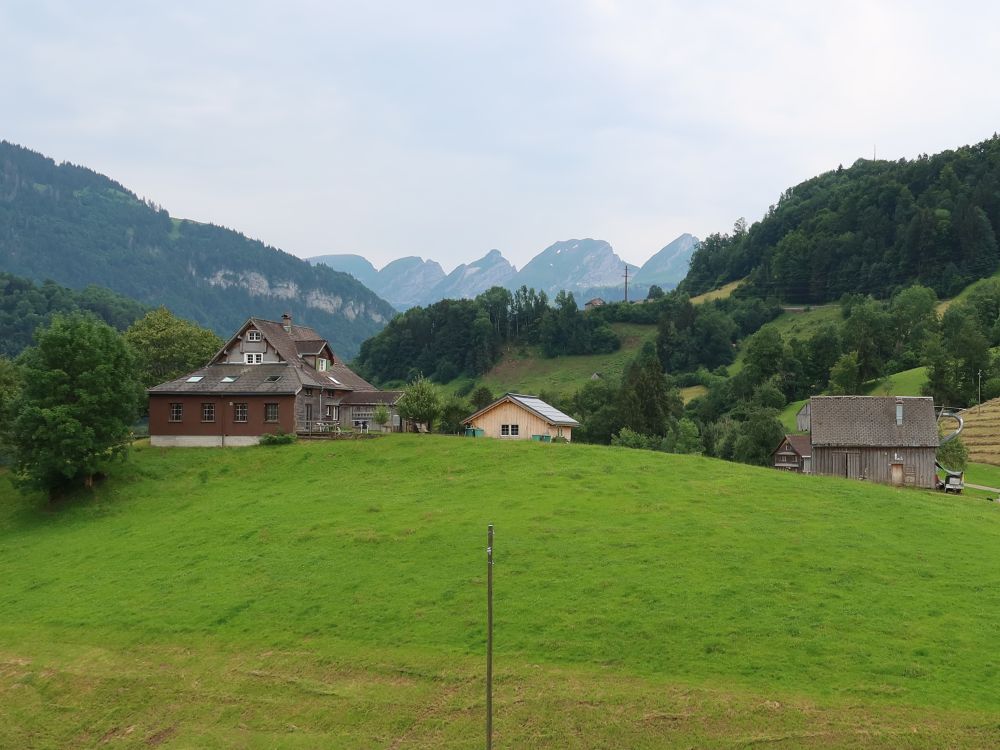 Churfirsten über Heidelbühl