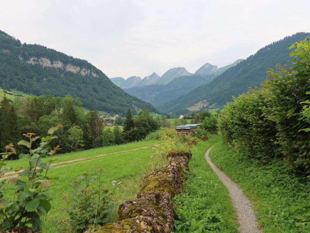 Blick Richtung Churfirsten