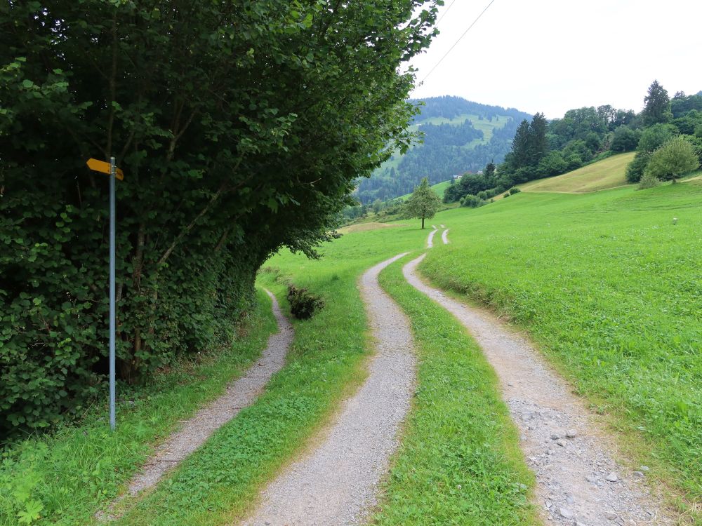 Pfad und Wirtschaftsweg