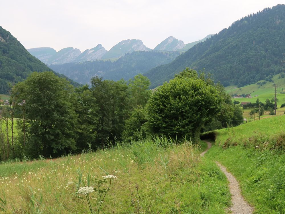 Blick Richtung Churfirsten