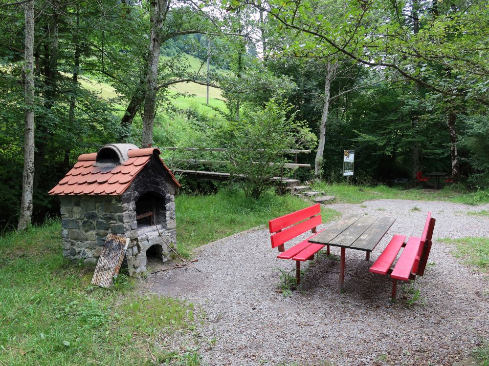 Grillplatz auf einer Thurinsel