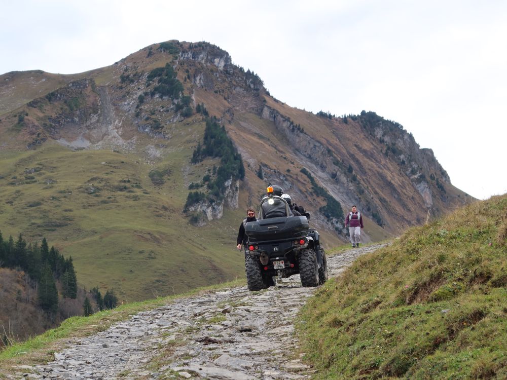 Quad oberhalb Stoos