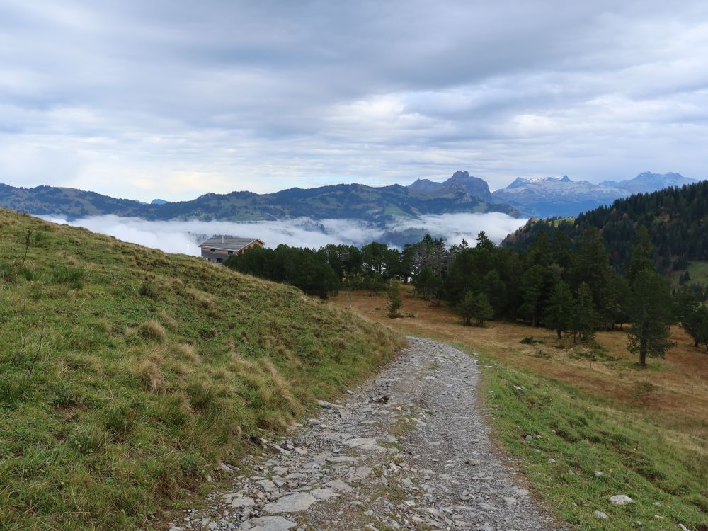 Blick Richtung Druesberg