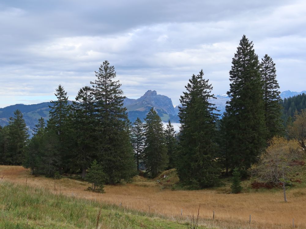 Druesberg zwischen Bäumen