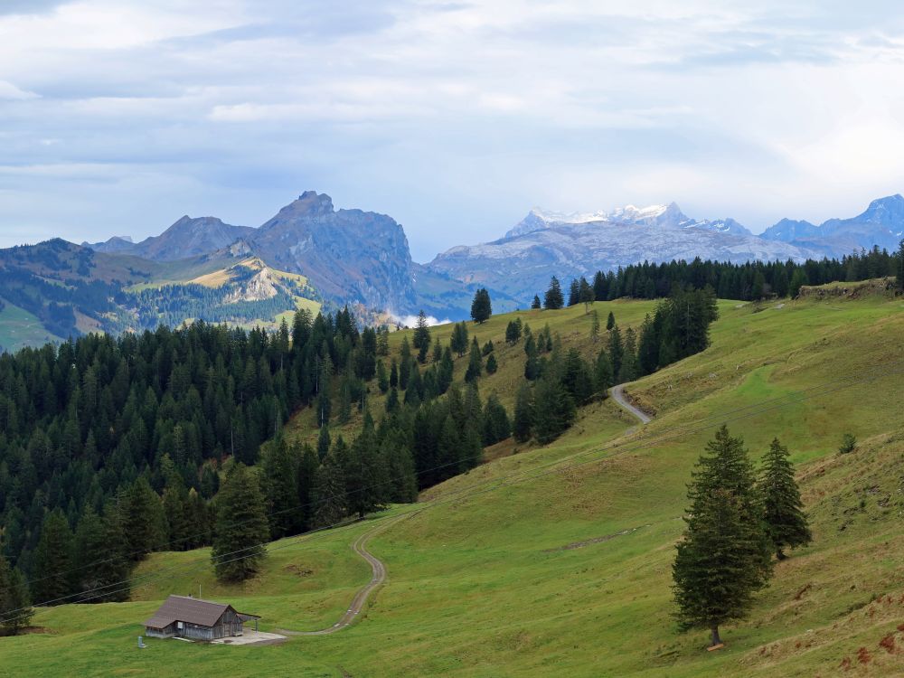 Unter Tritt mit Duesberg und Glärnisch