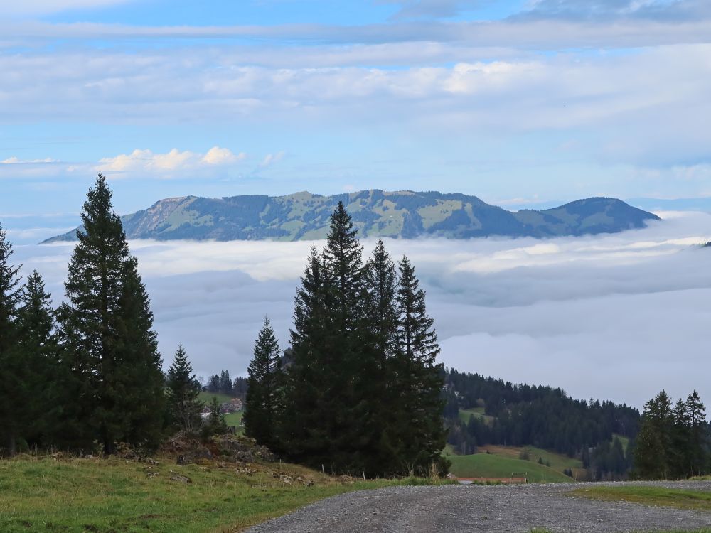 Nebel unterm Rossberg