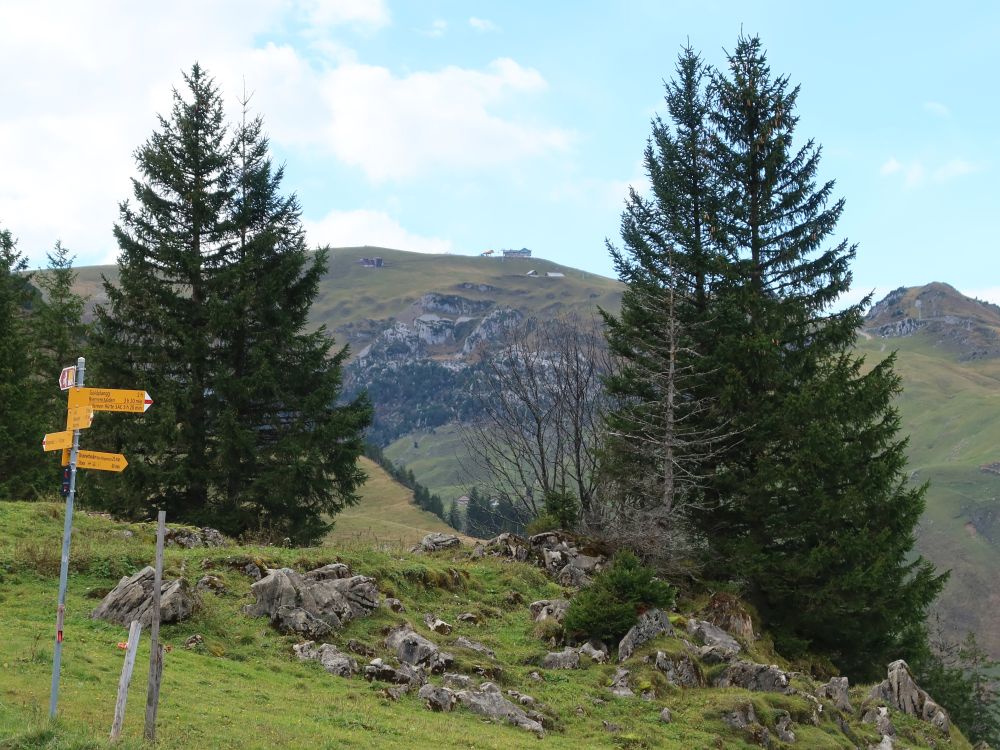 Blick Richtung Fronalpstock