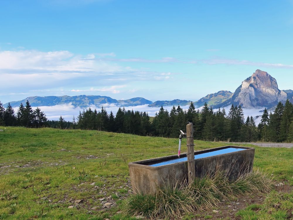 Brunnen mit Rossberg und Mythen