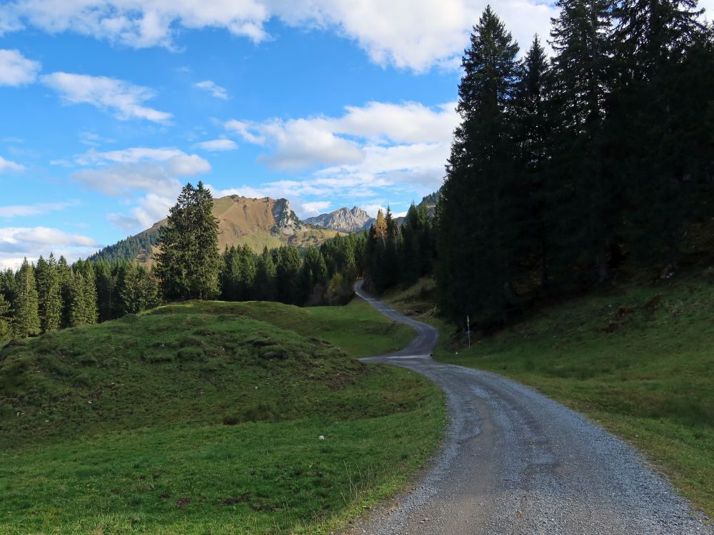 Rämsenweg und Planggenstock