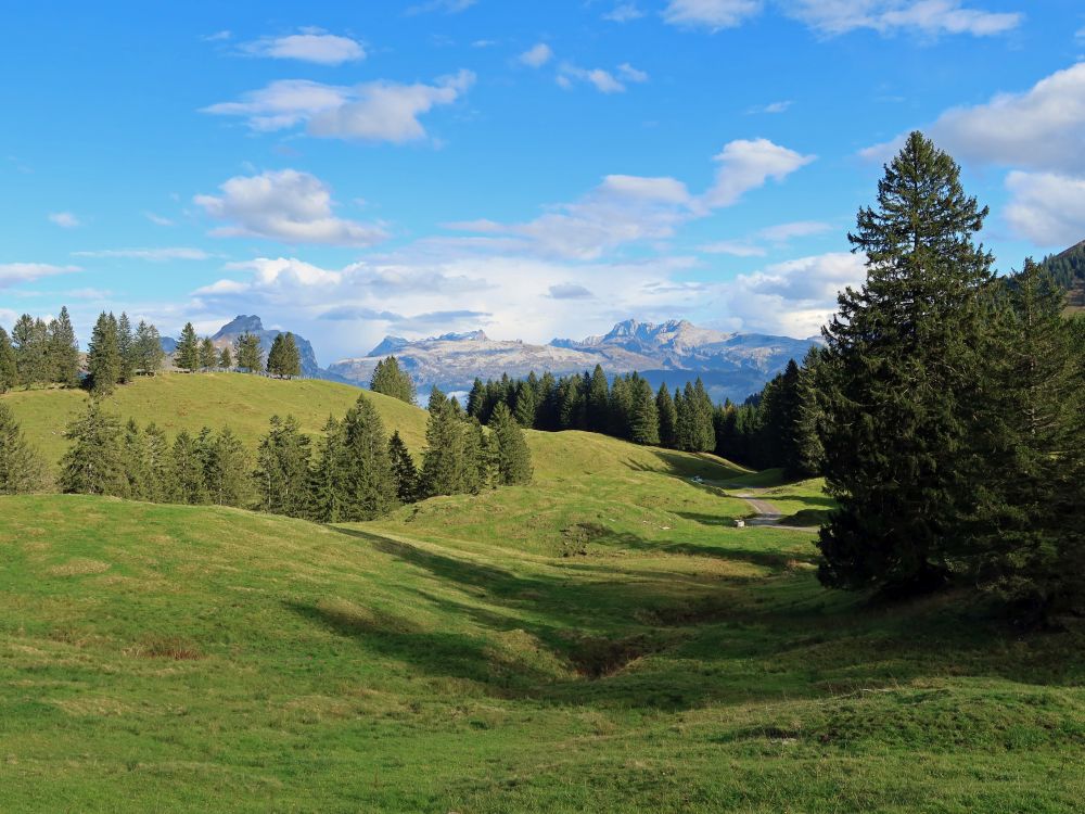 Druesberg, Glärnisch, Bös Fulen, u.a.