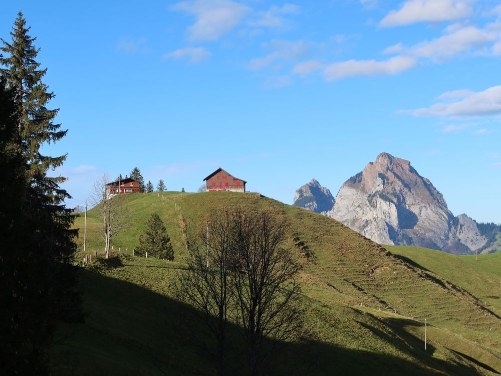 Skihaus Ibach (li.) und Mythen