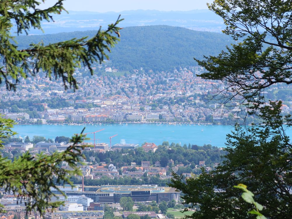 Zürich am Zürichsee