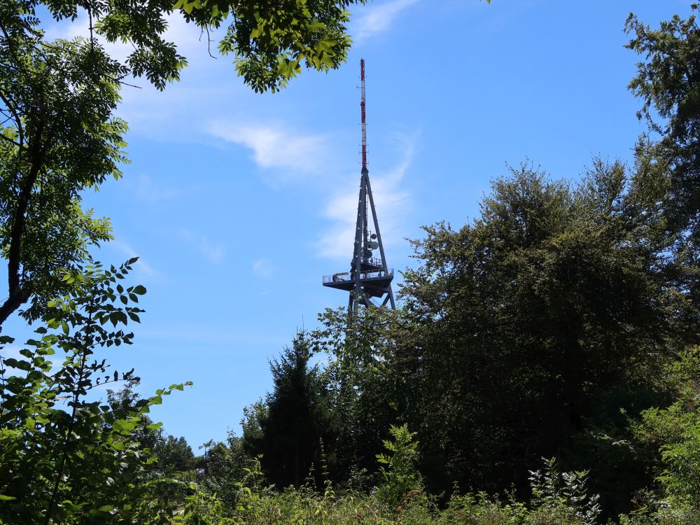 Aussichtsturm auf dem Uetliberg